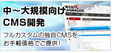 フルカスタムの独自CMSをお手軽価格でご提供